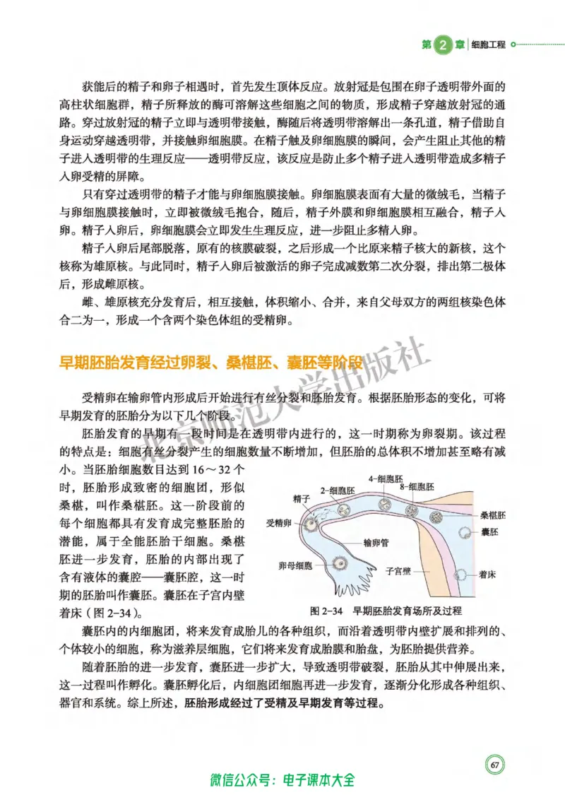 生物学选择性必修3生物技术与工程_高中三年全科资料_高中_高中电子教材_高中生物学_北师大