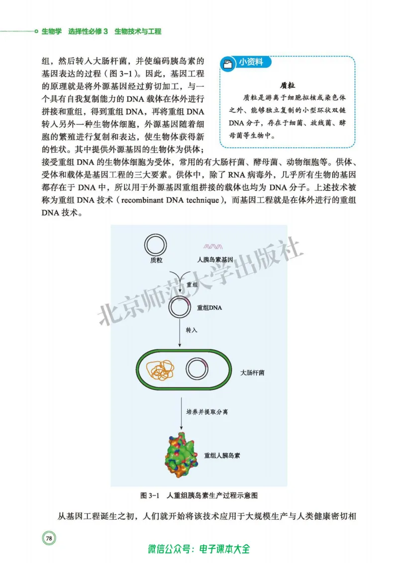 生物学选择性必修3生物技术与工程_高中三年全科资料_高中_高中电子教材_高中生物学_北师大