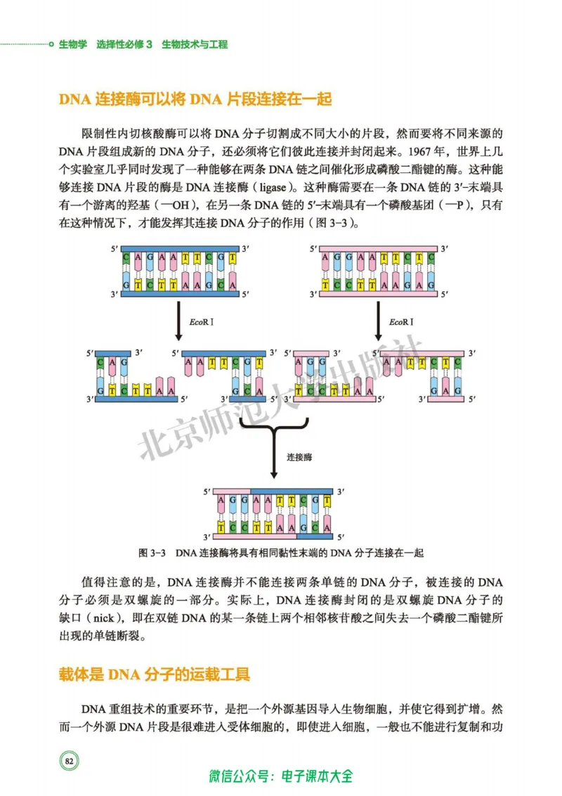 生物学选择性必修3生物技术与工程_高中三年全科资料_高中_高中电子教材_高中生物学_北师大
