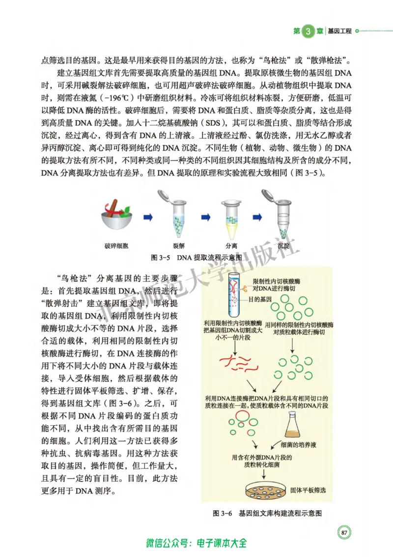 生物学选择性必修3生物技术与工程_高中三年全科资料_高中_高中电子教材_高中生物学_北师大