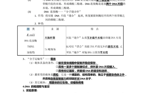 第3章基因工程期末复习知识点总结新教材人教版高中生物选择性必修三_高中三年全科资料_高中_1高中基础资料包_A-高中必背9科知识点_生物_高中生物全书知识点梳理+总结