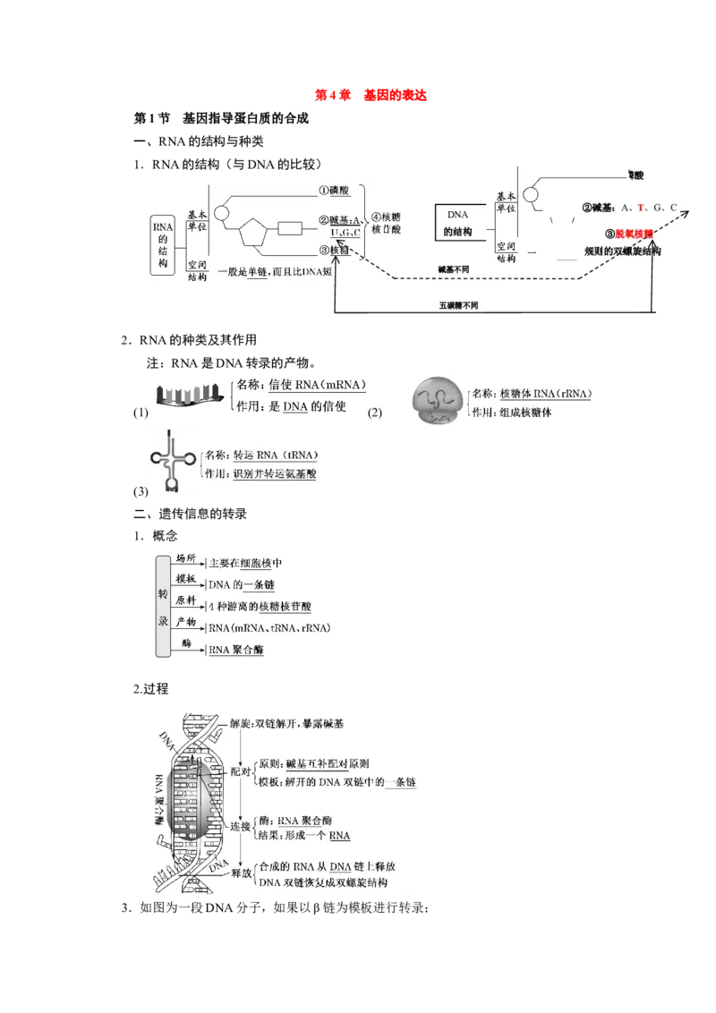 第4章基因的表达-知识点总结-2021-2022学年高中生物新教材人教版必修2&nbsp;&nbsp;&nbsp;_高中三年全科资料_高中_1高中基础资料包_A-高中必背9科知识点_生物_高中生物全书知识点梳理+总结