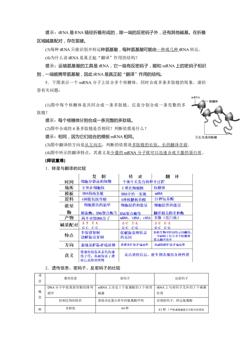 第4章基因的表达-知识点总结-2021-2022学年高中生物新教材人教版必修2&nbsp;&nbsp;&nbsp;_高中三年全科资料_高中_1高中基础资料包_A-高中必背9科知识点_生物_高中生物全书知识点梳理+总结