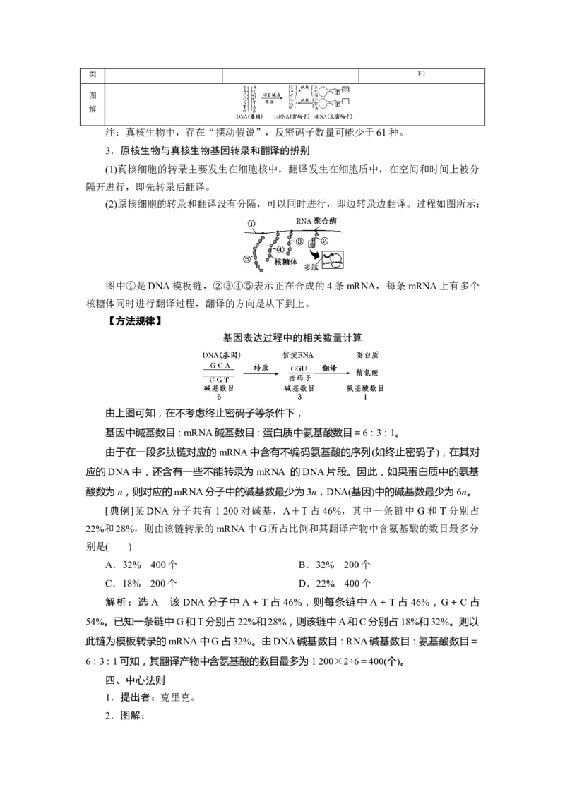 第4章基因的表达-知识点总结-2021-2022学年高中生物新教材人教版必修2&nbsp;&nbsp;&nbsp;_高中三年全科资料_高中_1高中基础资料包_A-高中必背9科知识点_生物_高中生物全书知识点梳理+总结