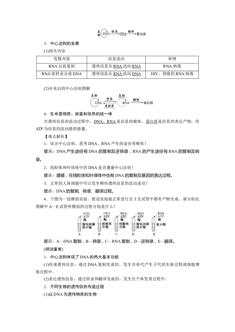 第4章基因的表达-知识点总结-2021-2022学年高中生物新教材人教版必修2&nbsp;&nbsp;&nbsp;_高中三年全科资料_高中_1高中基础资料包_A-高中必背9科知识点_生物_高中生物全书知识点梳理+总结