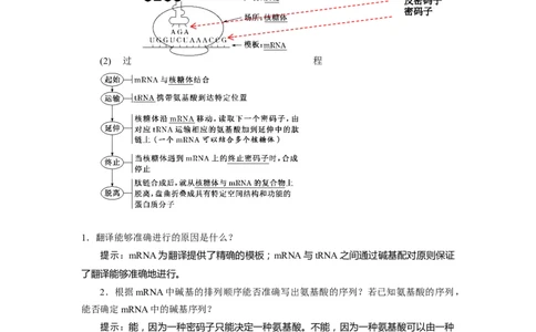 第4章基因的表达-知识点总结-2021-2022学年高中生物新教材人教版必修2&nbsp;&nbsp;&nbsp;_高中三年全科资料_高中_1高中基础资料包_A-高中必背9科知识点_生物_高中生物全书知识点梳理+总结