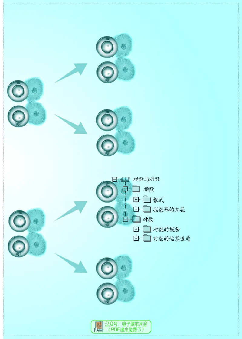 苏教版高中数学必修第1册_高中三年全科资料_高中_高中电子教材_高中数学_苏教版