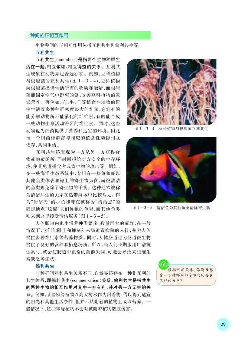 苏教版高中生物选择性必修2_高中三年全科资料_高中各科课本电子教材_06高中生物课本_苏教版