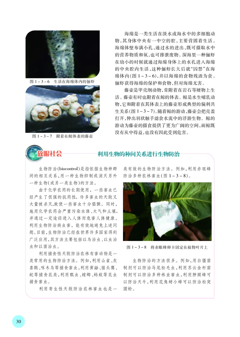 苏教版高中生物选择性必修2_高中三年全科资料_高中各科课本电子教材_06高中生物课本_苏教版