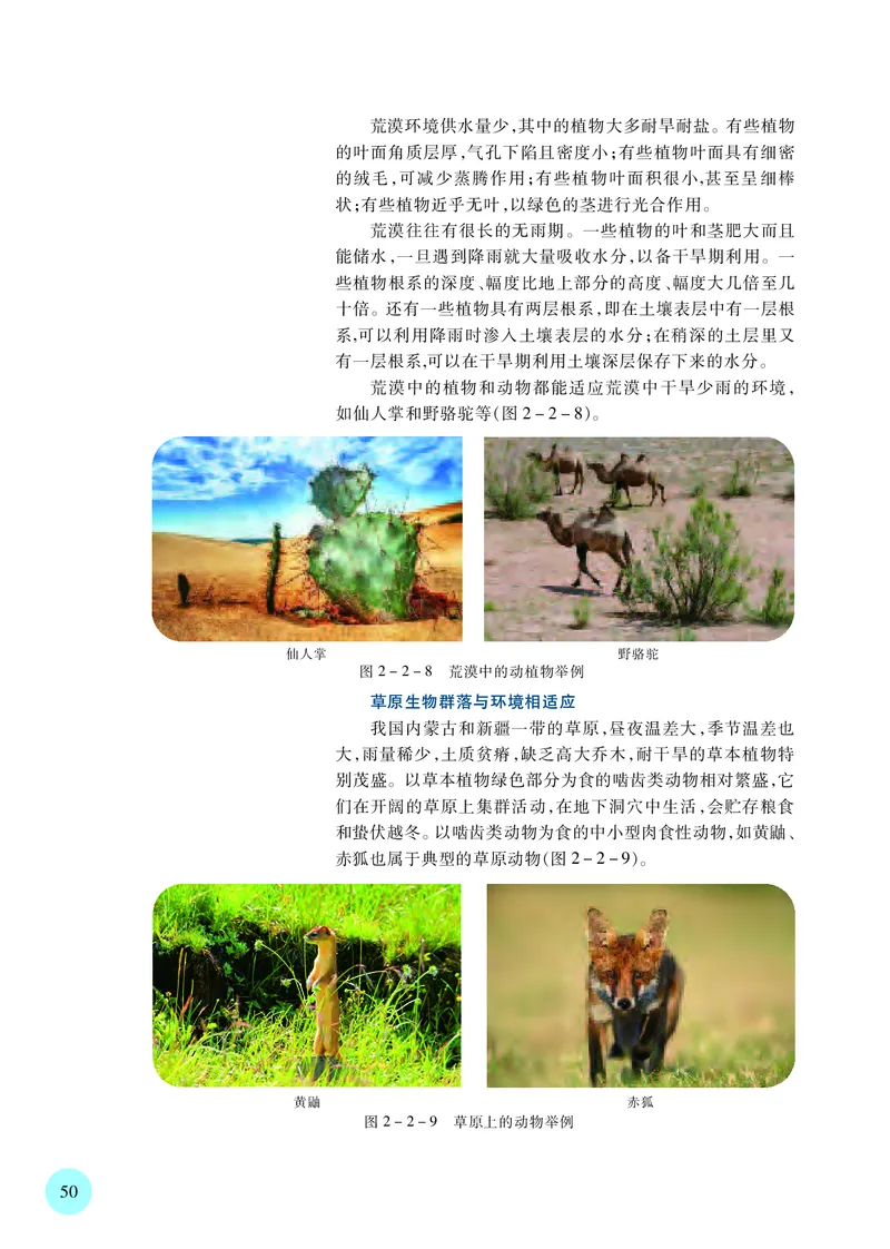 苏教版高中生物选择性必修2_高中三年全科资料_高中各科课本电子教材_06高中生物课本_苏教版