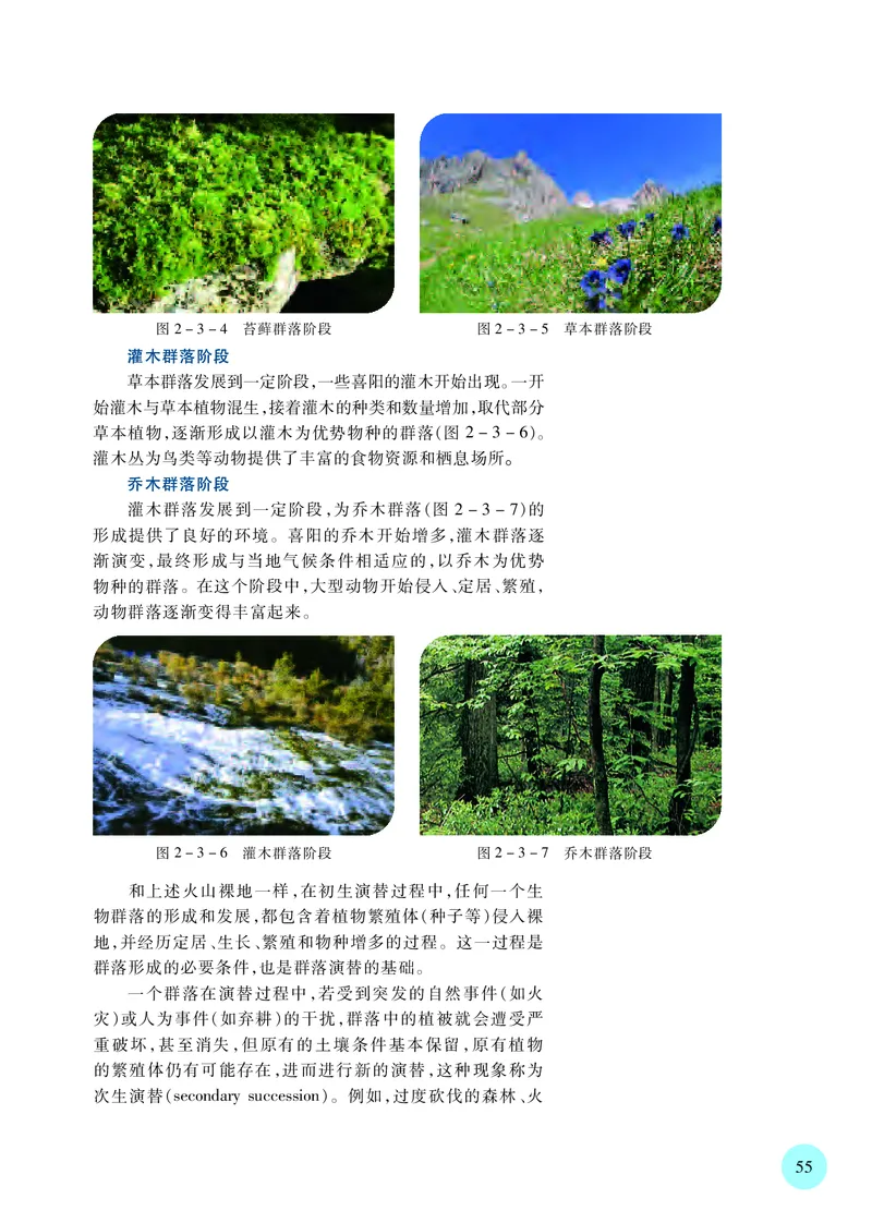 苏教版高中生物选择性必修2_高中三年全科资料_高中各科课本电子教材_06高中生物课本_苏教版