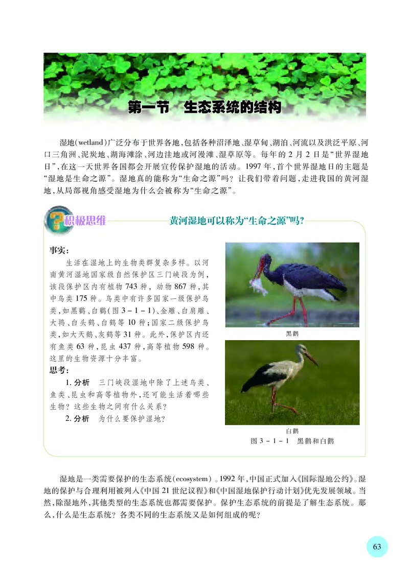 苏教版高中生物选择性必修2_高中三年全科资料_高中各科课本电子教材_06高中生物课本_苏教版