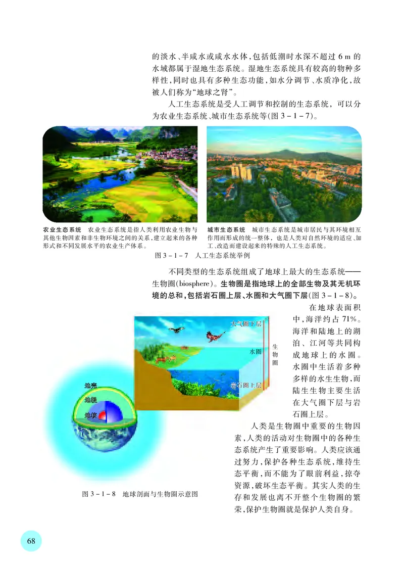 苏教版高中生物选择性必修2_高中三年全科资料_高中各科课本电子教材_06高中生物课本_苏教版