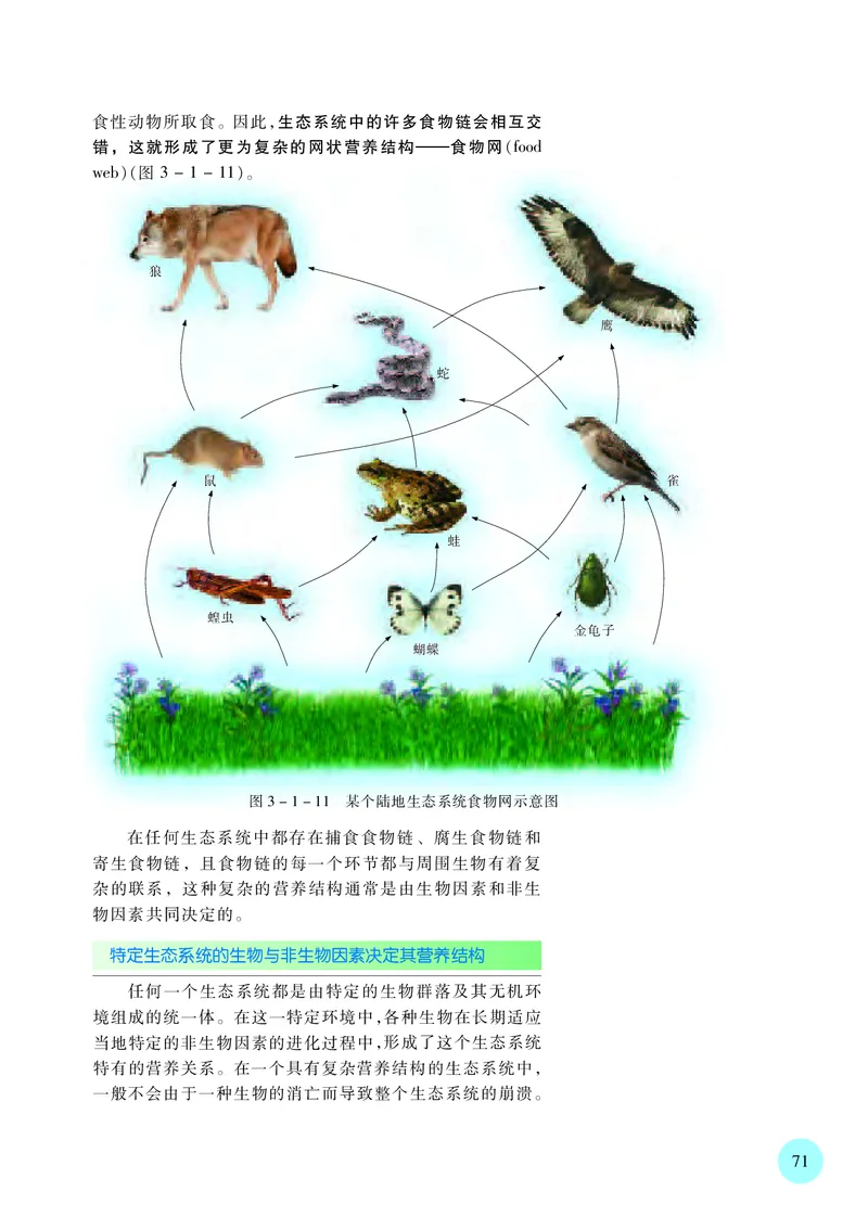 苏教版高中生物选择性必修2_高中三年全科资料_高中各科课本电子教材_06高中生物课本_苏教版