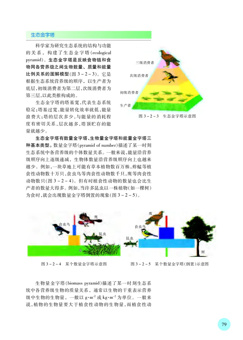 苏教版高中生物选择性必修2_高中三年全科资料_高中各科课本电子教材_06高中生物课本_苏教版