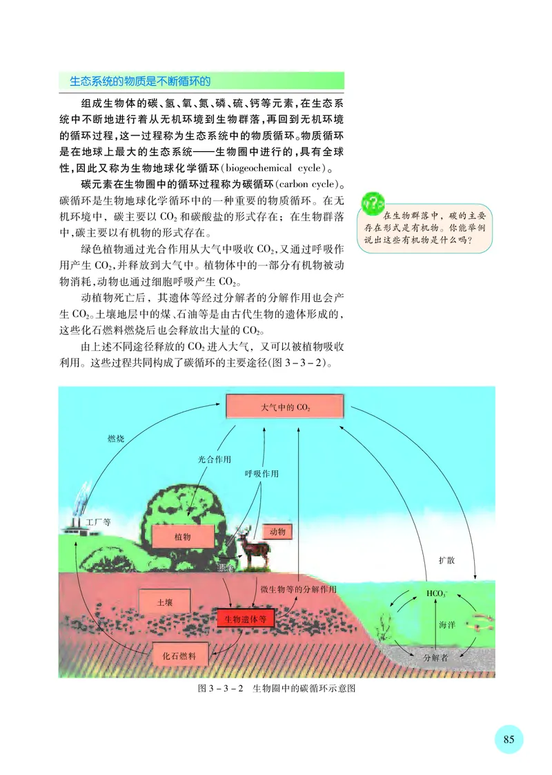 苏教版高中生物选择性必修2_高中三年全科资料_高中各科课本电子教材_06高中生物课本_苏教版