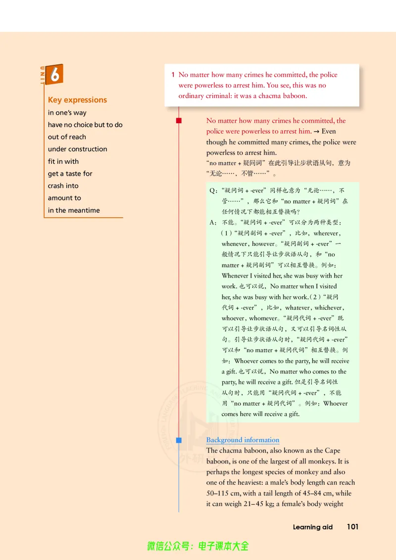 英语选择性必修第二册陈琳主编_高中三年全科资料_高中_高中电子教材_高中英语_外研版
