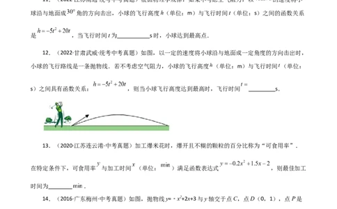 专题22.33实际问题与二次函数（直通中考）（基础练）-（人教版）_人教版数学九年级上册_版本二_九年级数学上册（人教版）_专题突破练习-V4_2024版