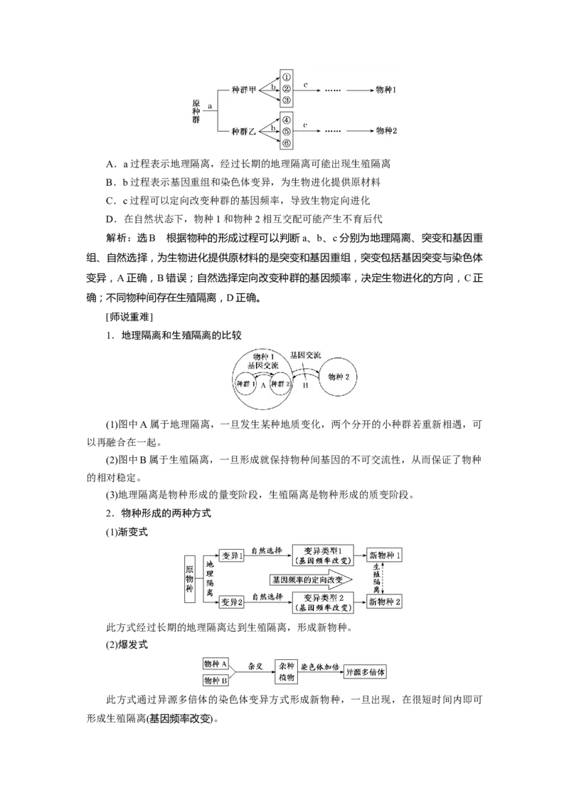 第6章生物的进化-知识点总结-2021-2022学年高中生物新教材人教版必修2&nbsp;&nbsp;&nbsp;_高中三年全科资料_高中_1高中基础资料包_A-高中必背9科知识点_生物_高中生物全书知识点梳理+总结