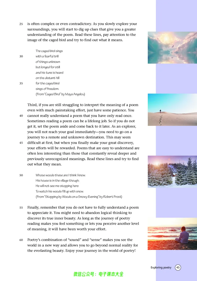 英语高中选择性必修一（译林版）_高中三年全科资料_高中_高中电子教材_高中英语_译林版
