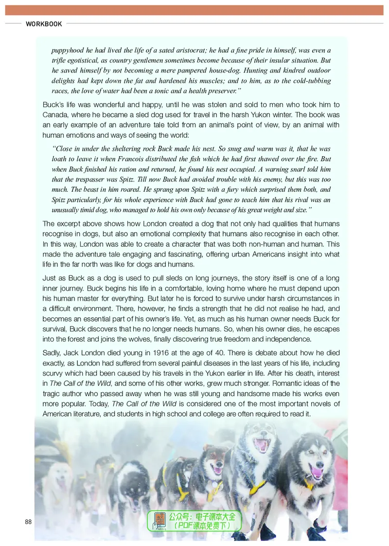 英语选择性必修第2册_高中三年全科资料_高中_高中电子教材_高中英语_人教版