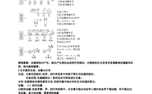 第5章植物生命活动的调节期末复习知识点总结新教材人教版高中生物选择性必修一_高中三年全科资料_高中_1高中基础资料包_A-高中必背9科知识点_生物_高中生物全书知识点梳理+总结