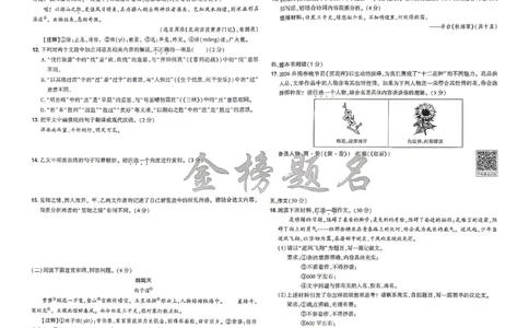 2026《河南中考&bull;载望预测解密卷》语文A卷_2026中考押题卷合集_2026《载望中考&bull;预测解密卷》多地方版_2026《河南中考&bull;载望预测解密卷》7科_2026《河南中考&bull;载望押题密卷》七科
