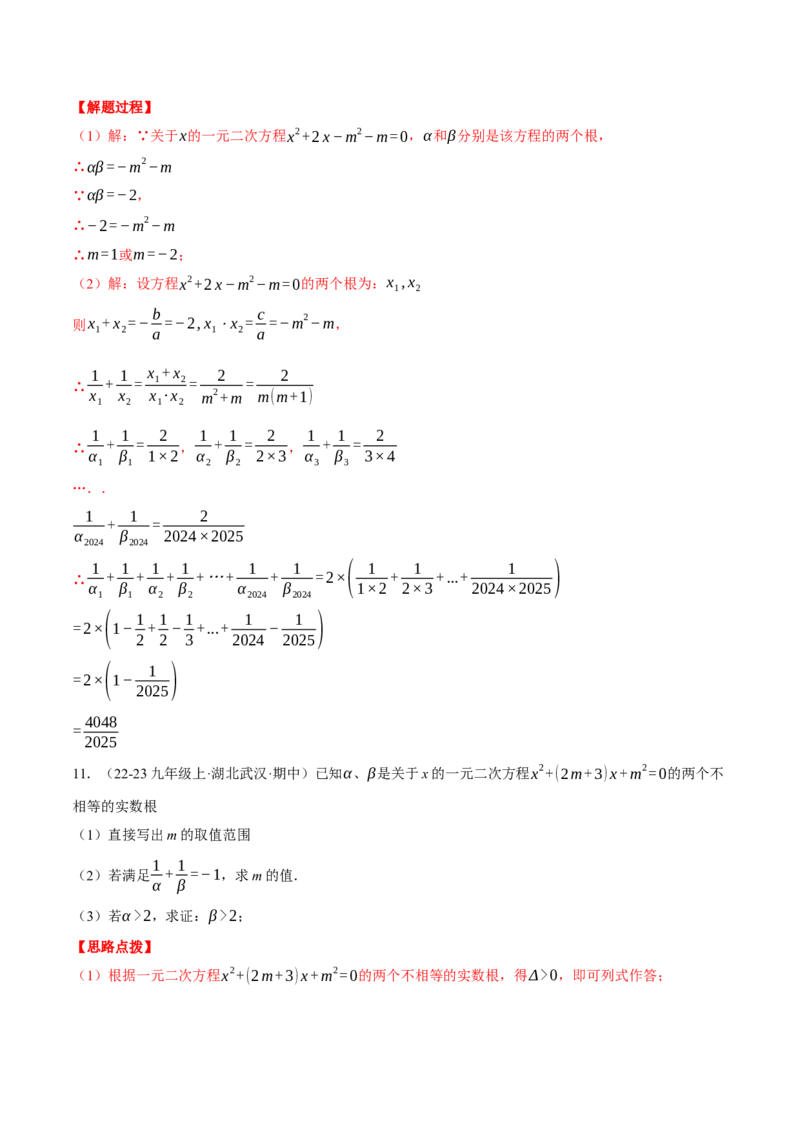 专题21.3根与系数的关系（压轴题专项讲练）（人教版）（教师版）_人教版数学九年级上册_版本二_九年级数学上册（人教版）_压轴题专项-V5_2025版