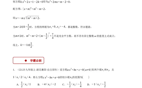专题21.3根与系数的关系（压轴题专项讲练）（人教版）（教师版）_人教版数学九年级上册_版本二_九年级数学上册（人教版）_压轴题专项-V5_2025版