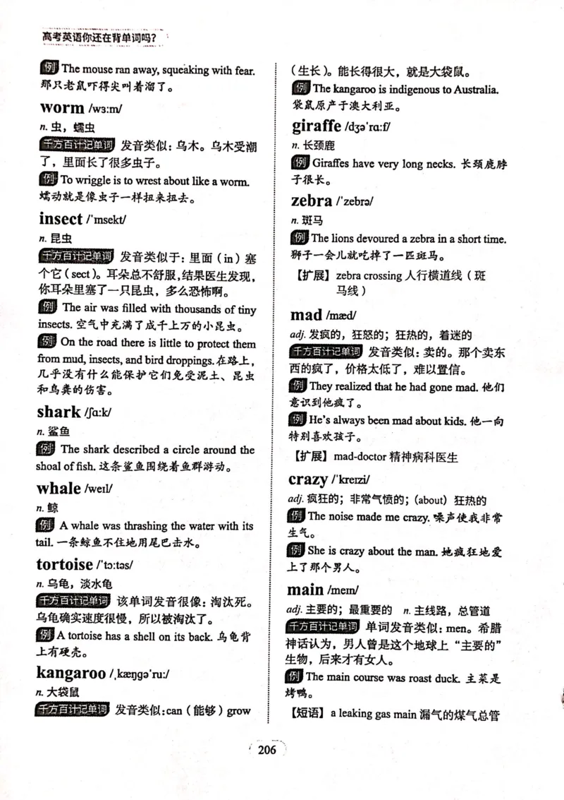 第七节_高中三年全科资料_高中_高中1_刘晓艳高中刘晓燕《大雁英语》高中语法+单词（视频+讲义）_刘晓艳高中英语你还在背单词吗（视频课+配套电子讲义）