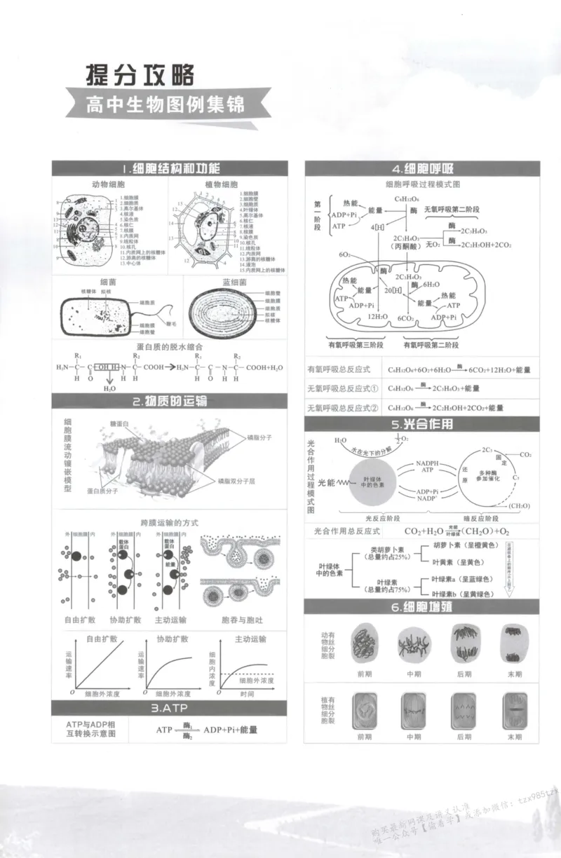 答案_高中三年全科资料_高中_高中1_2026版高考《小题狂做》基础篇+教材篇(持续更新中）_2026小题狂做基础篇生物