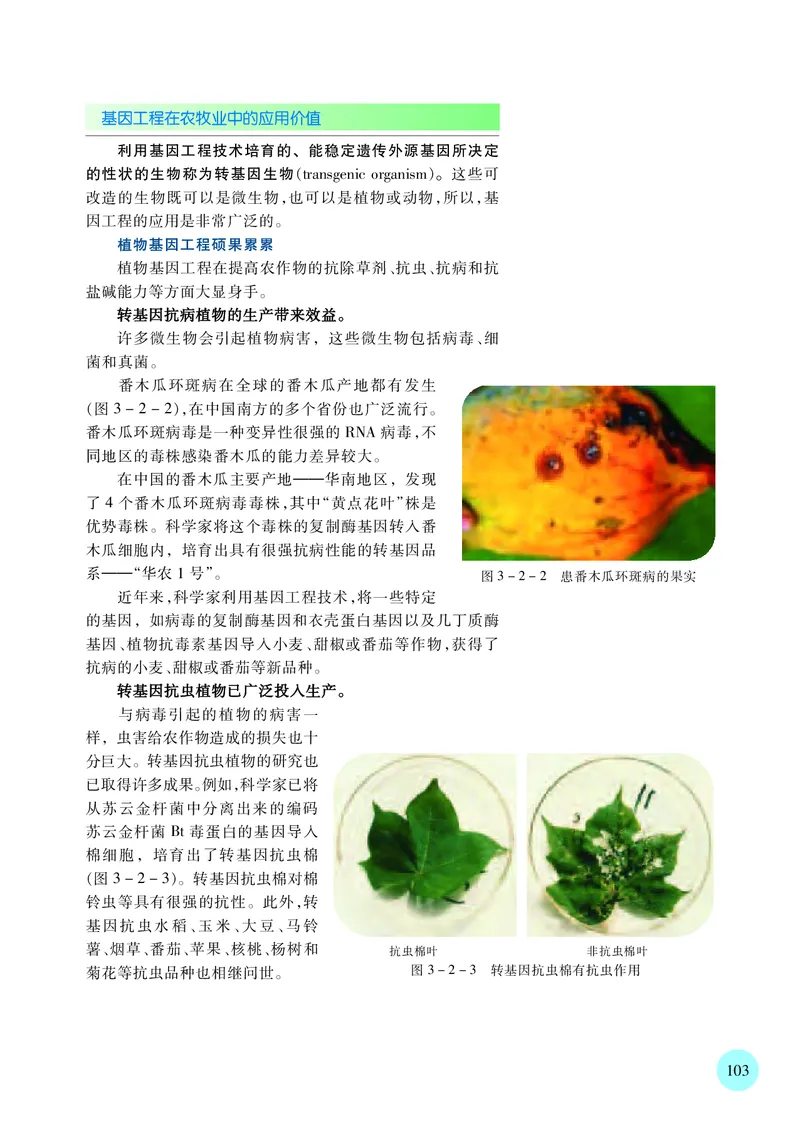 苏教版高中生物选择性必修3_高中三年全科资料_高中各科课本电子教材_06高中生物课本_苏教版
