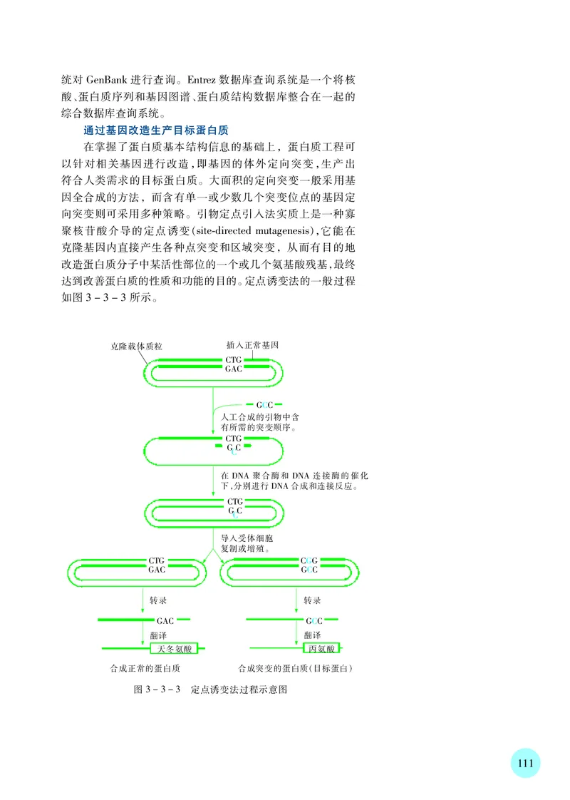 苏教版高中生物选择性必修3_高中三年全科资料_高中各科课本电子教材_06高中生物课本_苏教版
