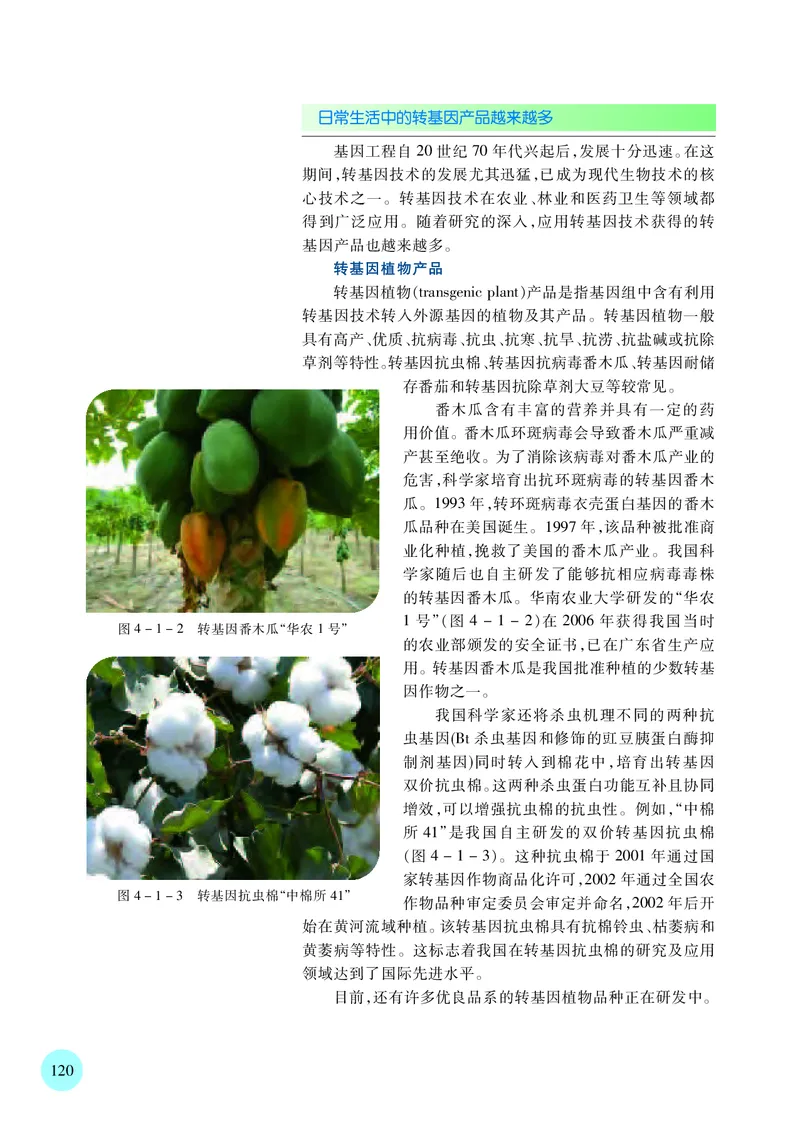 苏教版高中生物选择性必修3_高中三年全科资料_高中各科课本电子教材_06高中生物课本_苏教版