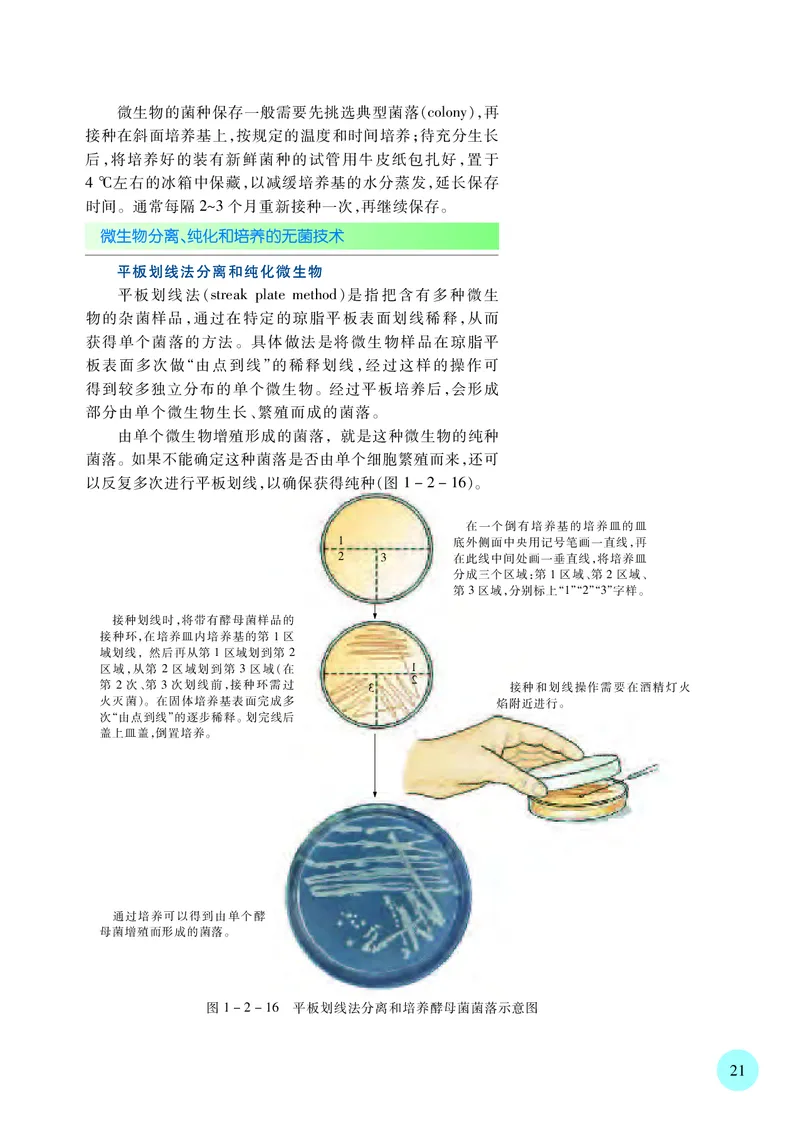 苏教版高中生物选择性必修3_高中三年全科资料_高中各科课本电子教材_06高中生物课本_苏教版