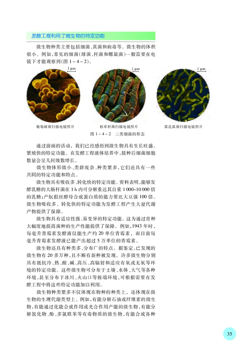 苏教版高中生物选择性必修3_高中三年全科资料_高中各科课本电子教材_06高中生物课本_苏教版