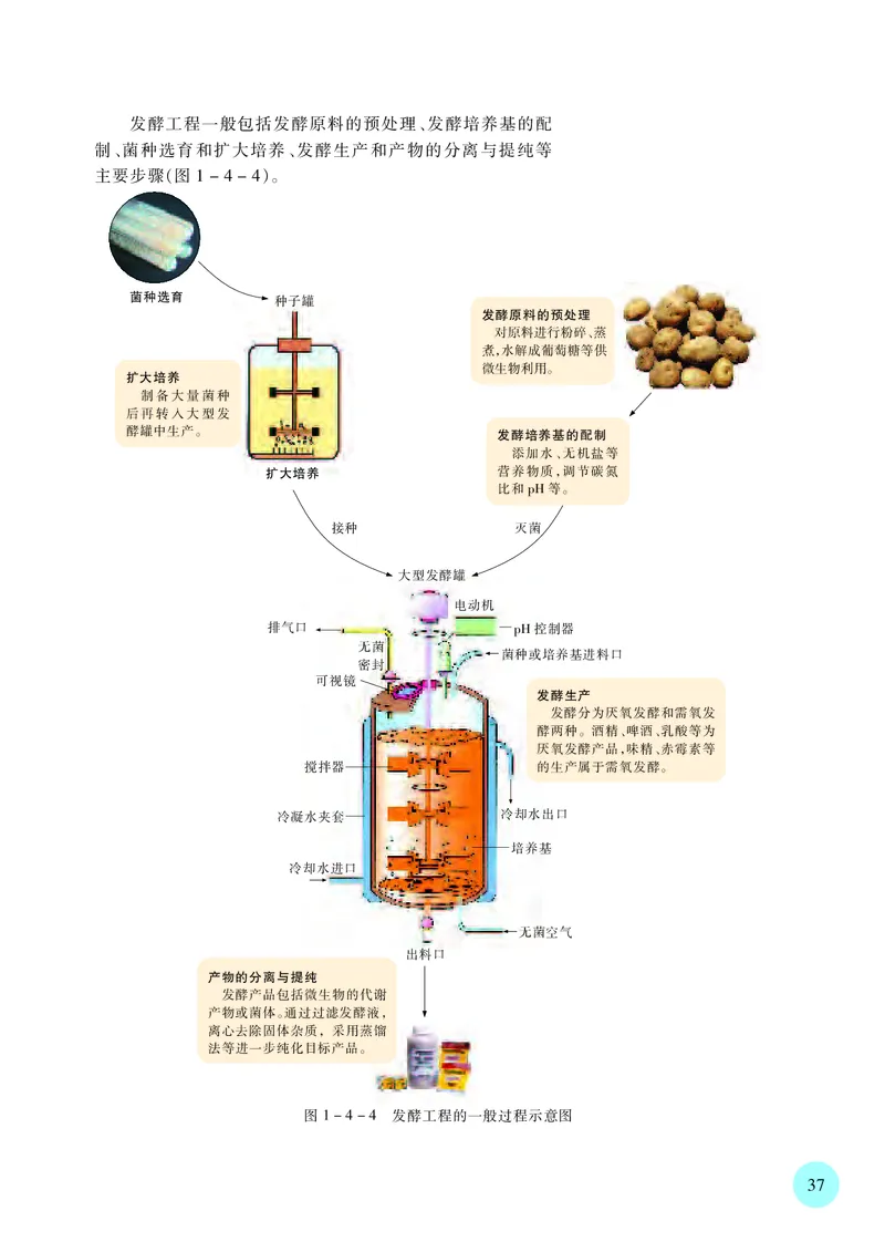 苏教版高中生物选择性必修3_高中三年全科资料_高中各科课本电子教材_06高中生物课本_苏教版