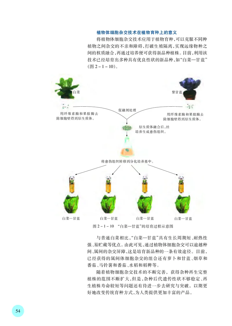 苏教版高中生物选择性必修3_高中三年全科资料_高中各科课本电子教材_06高中生物课本_苏教版