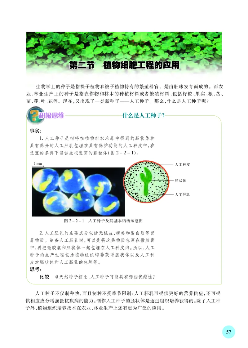 苏教版高中生物选择性必修3_高中三年全科资料_高中各科课本电子教材_06高中生物课本_苏教版