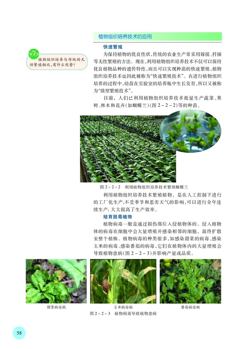 苏教版高中生物选择性必修3_高中三年全科资料_高中各科课本电子教材_06高中生物课本_苏教版