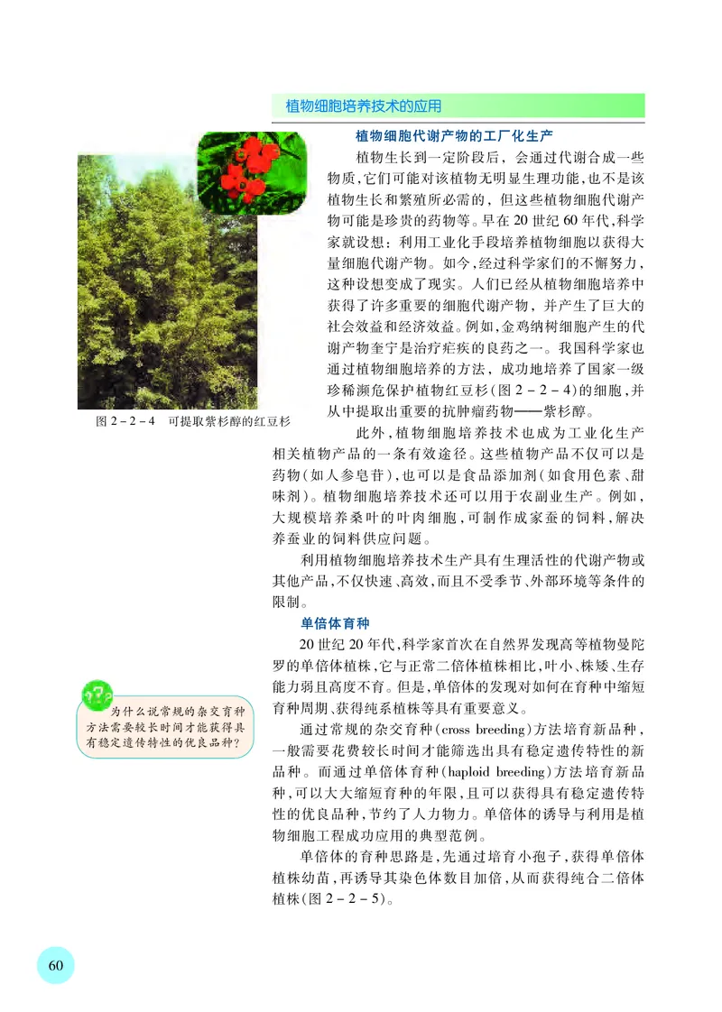 苏教版高中生物选择性必修3_高中三年全科资料_高中各科课本电子教材_06高中生物课本_苏教版