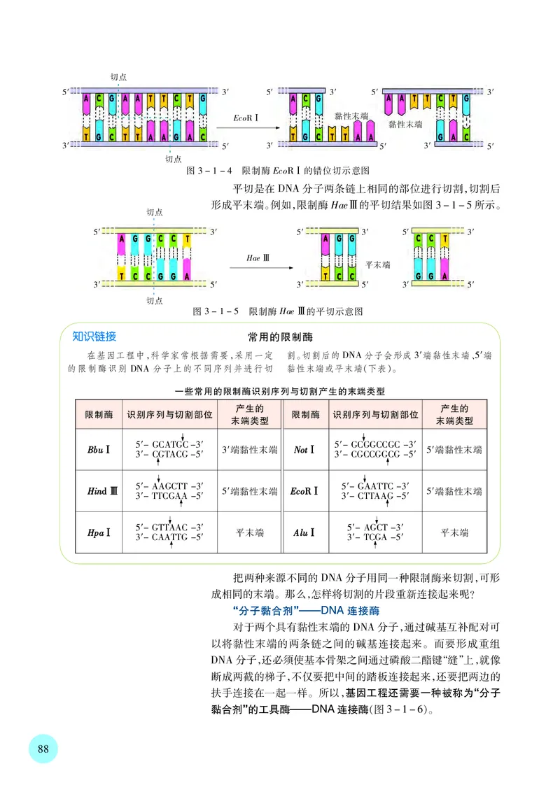 苏教版高中生物选择性必修3_高中三年全科资料_高中各科课本电子教材_06高中生物课本_苏教版