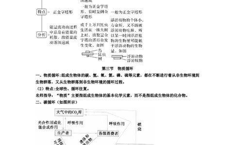 第3章生态系统及其稳定性期末复习知识点总结新教材人教版高中生物选择性必修二_高中三年全科资料_高中_1高中基础资料包_A-高中必背9科知识点_生物_高中生物全书知识点梳理+总结