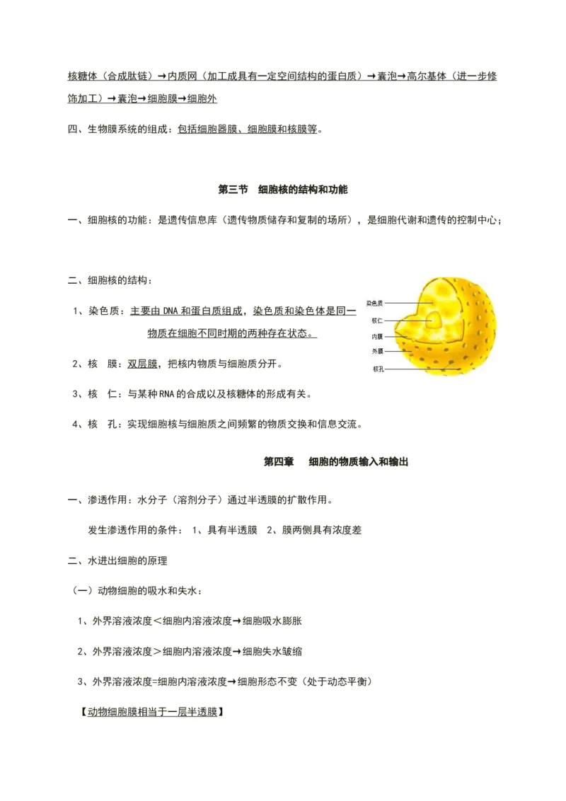第三章细胞的基本结构知识点期末复习新教材人教版高中生物必修一_高中三年全科资料_高中_1高中基础资料包_A-高中必背9科知识点_生物_高中生物全书知识点梳理+总结