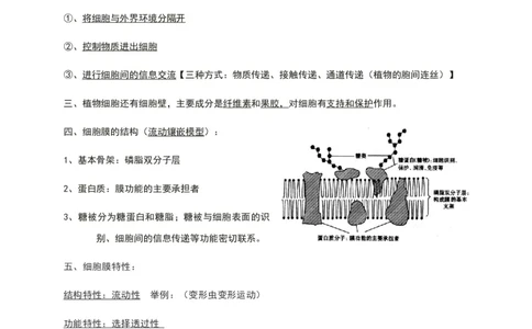 第三章细胞的基本结构知识点期末复习新教材人教版高中生物必修一_高中三年全科资料_高中_1高中基础资料包_A-高中必背9科知识点_生物_高中生物全书知识点梳理+总结
