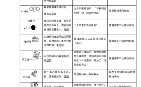 第三章细胞的基本结构知识点期末复习新教材人教版高中生物必修一_高中三年全科资料_高中_1高中基础资料包_A-高中必背9科知识点_生物_高中生物全书知识点梳理+总结