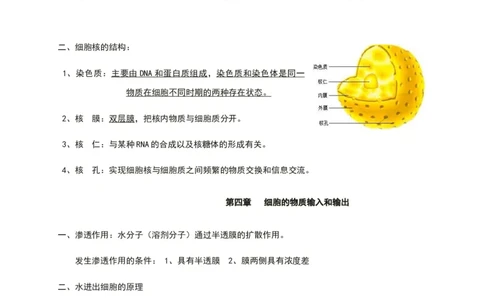 第三章细胞的基本结构知识点期末复习新教材人教版高中生物必修一_高中三年全科资料_高中_1高中基础资料包_A-高中必背9科知识点_生物_高中生物全书知识点梳理+总结