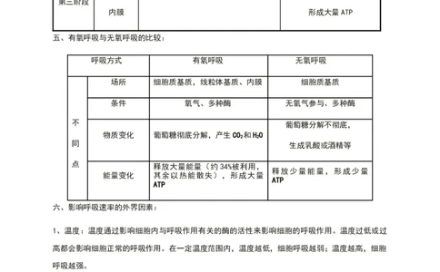 第五章细胞的能量供应和利用知识点期末复习新教材人教版高中生物必修一_高中三年全科资料_高中_1高中基础资料包_A-高中必背9科知识点_生物_高中生物全书知识点梳理+总结
