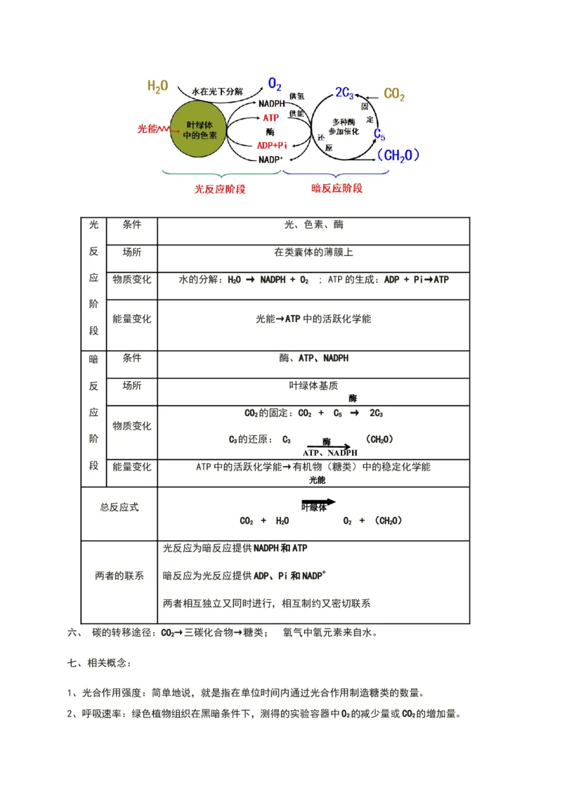 第五章细胞的能量供应和利用知识点期末复习新教材人教版高中生物必修一_高中三年全科资料_高中_1高中基础资料包_A-高中必背9科知识点_生物_高中生物全书知识点梳理+总结