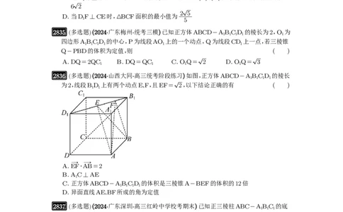 第55讲立体几何中的压轴小题_高中三年全科资料_高考数学《必刷5000题》2025版_2025高考数学必刷5000题（原卷版分章节PDF）